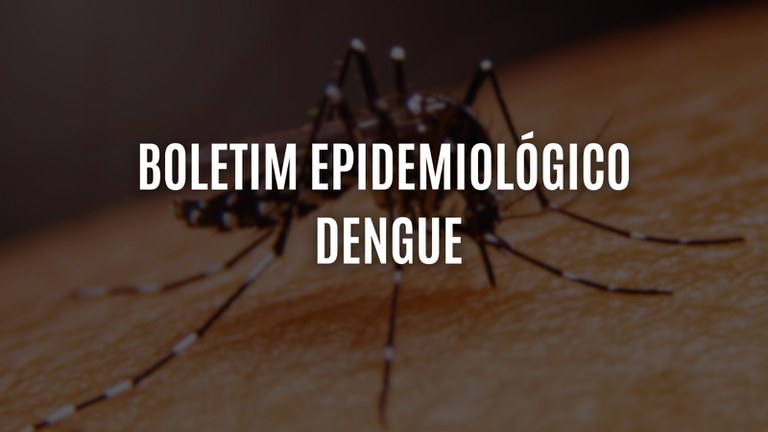Boletim Epidemiológico: Assis registra até o momento uma morte por dengue