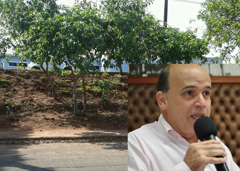 Vereador Jose Luiz Garcia  solicita construção de escadarias no Parque das Acácias para acesso á Av. Abílio Duarte de Souza