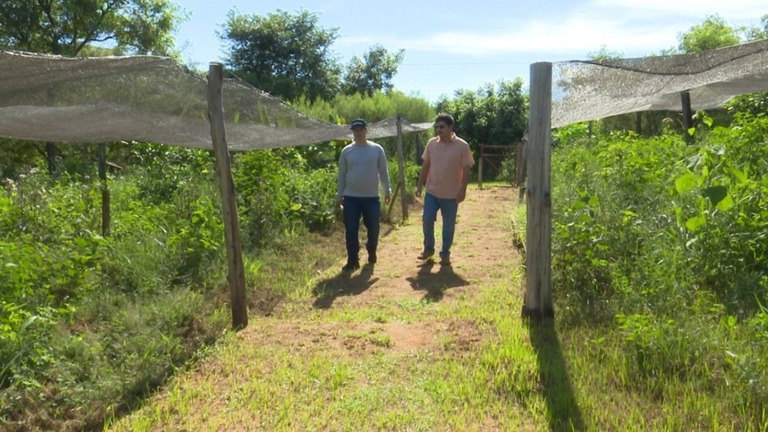 Vereadores Alerta Verbal e Fernando Sirchia propõem projeto para Horta Comunitária abandonada